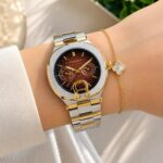 Aigner Taviano Multifunction Brown Dial