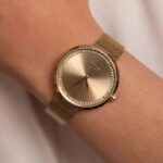 Hugo Boss Praise Golden Edition
