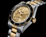 Tudor Black Bay Gold Silver Edition - Image 2