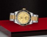 Tudor Black Bay Gold Silver Edition - Image 3