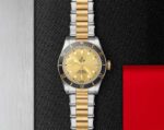 Tudor Black Bay Gold Silver Edition - Image 4