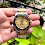 Tudor Black Bay Gold Silver Edition