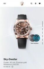 Rolex Sky-Dweller Brown Dial Fibre Strap Edition - Image 3