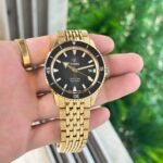 Rado Golden Black Ceramic Dial