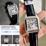 Cartier Santos De Silver Roman Dial - Image 4